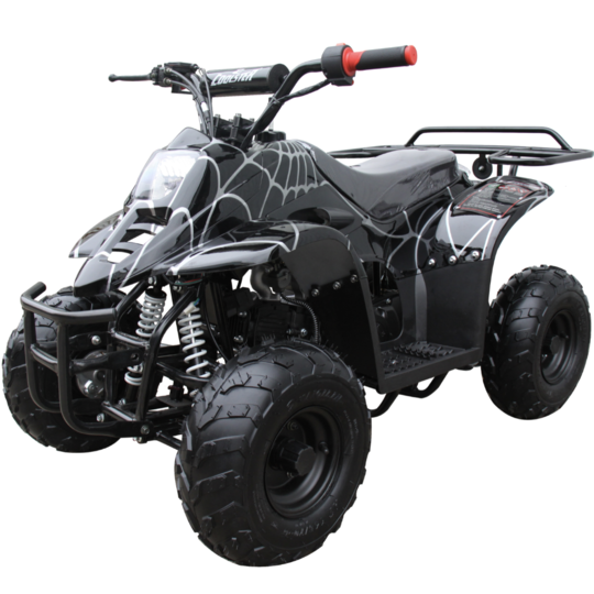 110 cc Kids ATV Quad